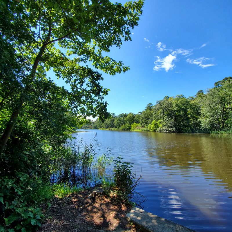 Canoes, Quiet Water, and Electric-Only Boating