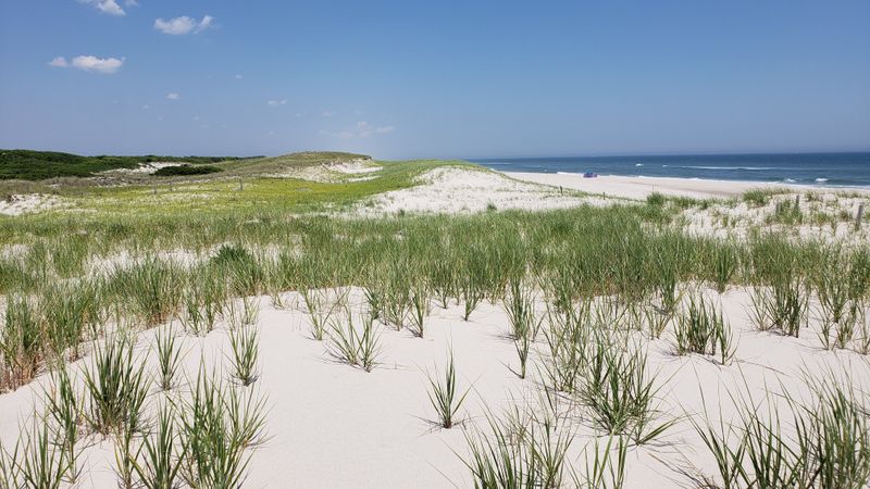 Walking the Dunes and Maritime Forest