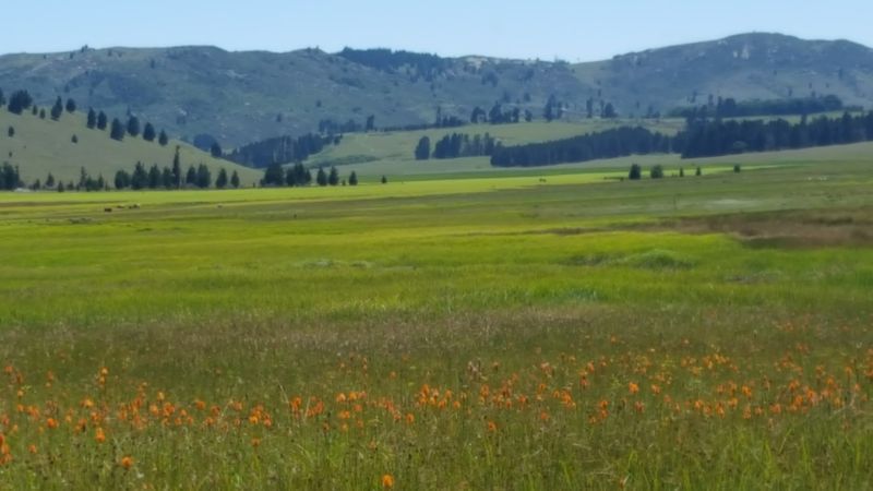 Hogsback, South Africa