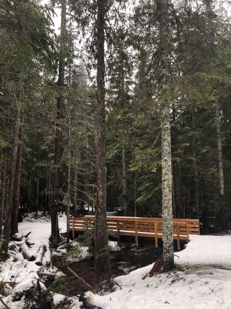 Mirror Lake Trail - Mt. Hood National Forest (Winter Sno-Park access)