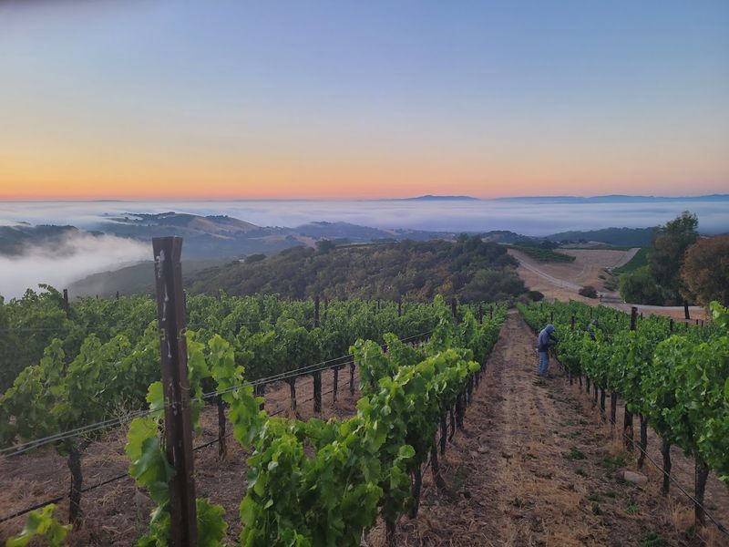 Paso Robles — Bold Reds & Rustic California Vibes