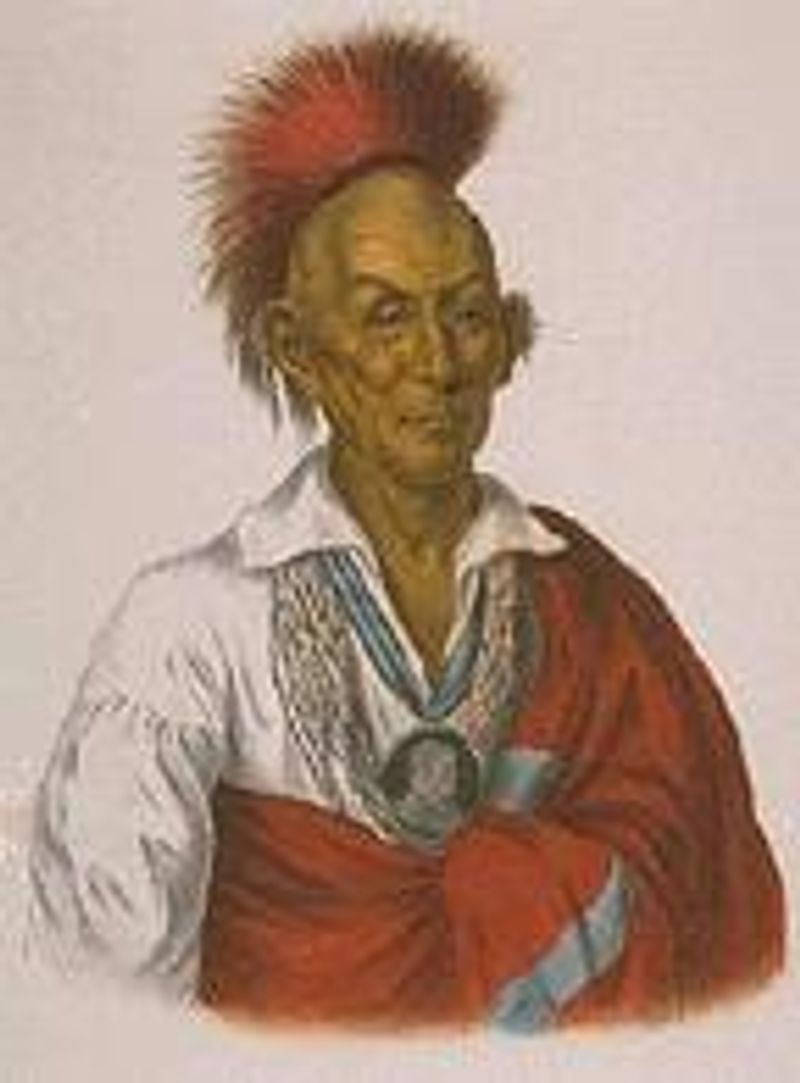 Black Hawk Became a Symbol of Native Resistance