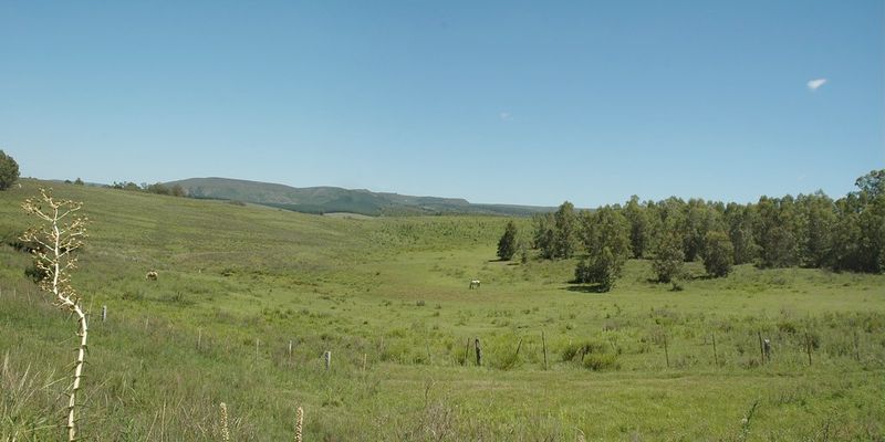 Grasslands do the heavy lifting