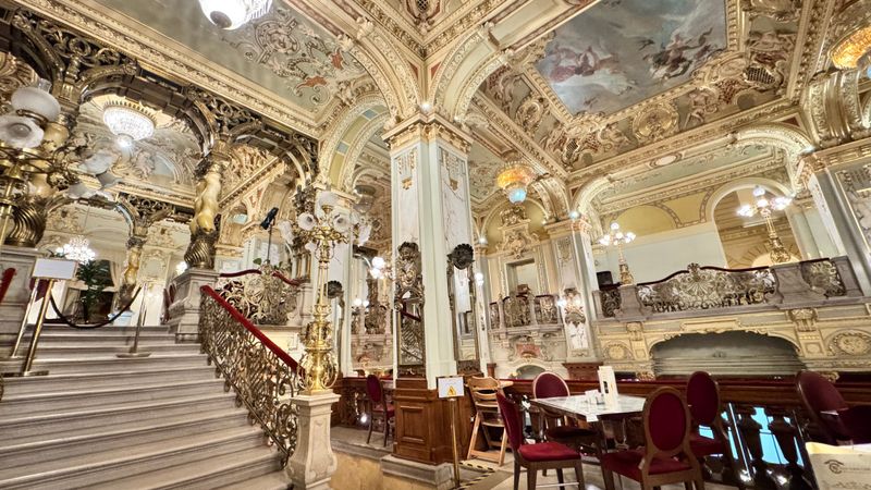 Look up first: the ceiling is the main course