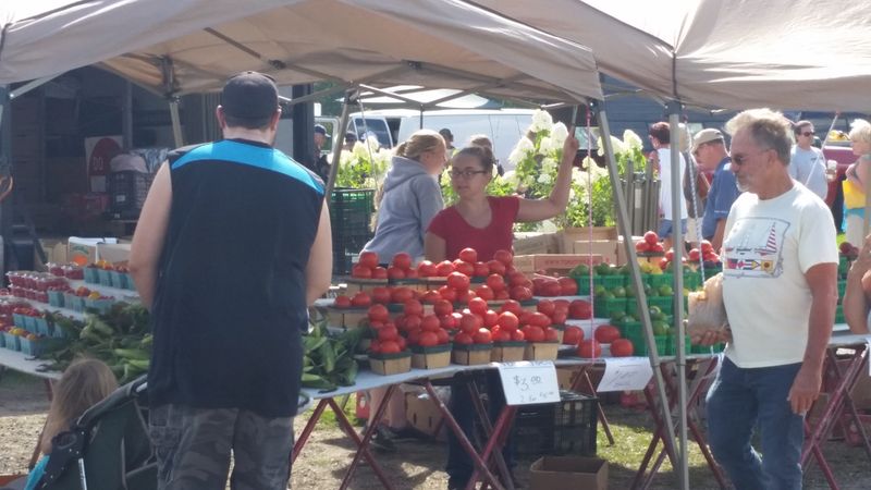 Produce Row: Peppery Radishes, Warm Honey, and Market Chatter