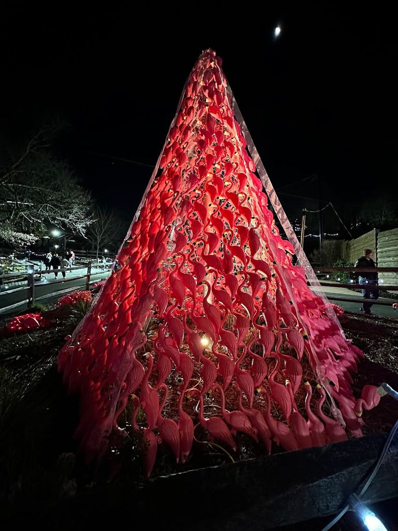 The Holiday Lights Experience After Dark