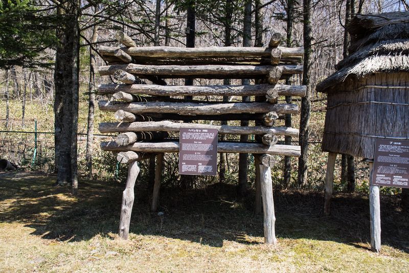 “Ainu” Means “Human”