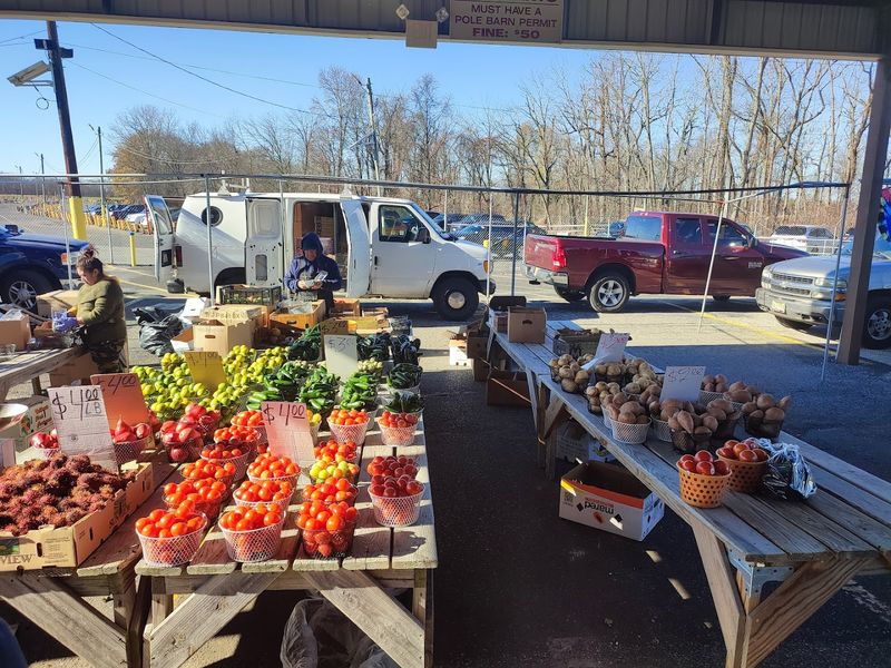 Fresh Produce and What to Know Before You Buy