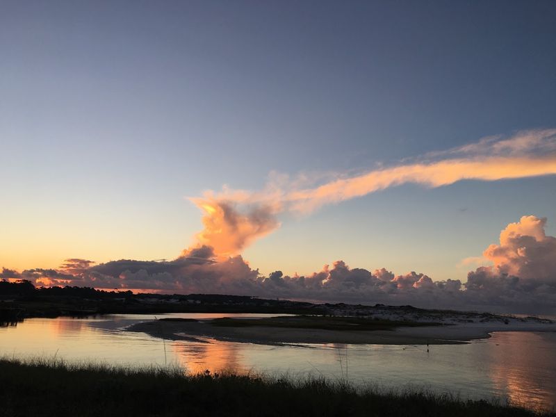 Wildlife and Birdwatching Around Every Bend