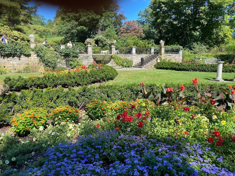 A Garden With Many Personalities