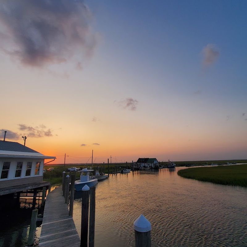 The Views From the Water's Edge