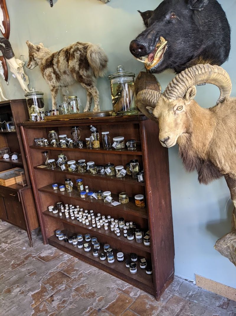 Wet and Dry Specimens for Serious Collectors