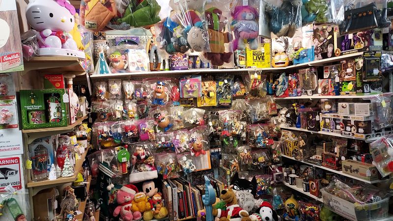 Who Shops at Scranberry Coop