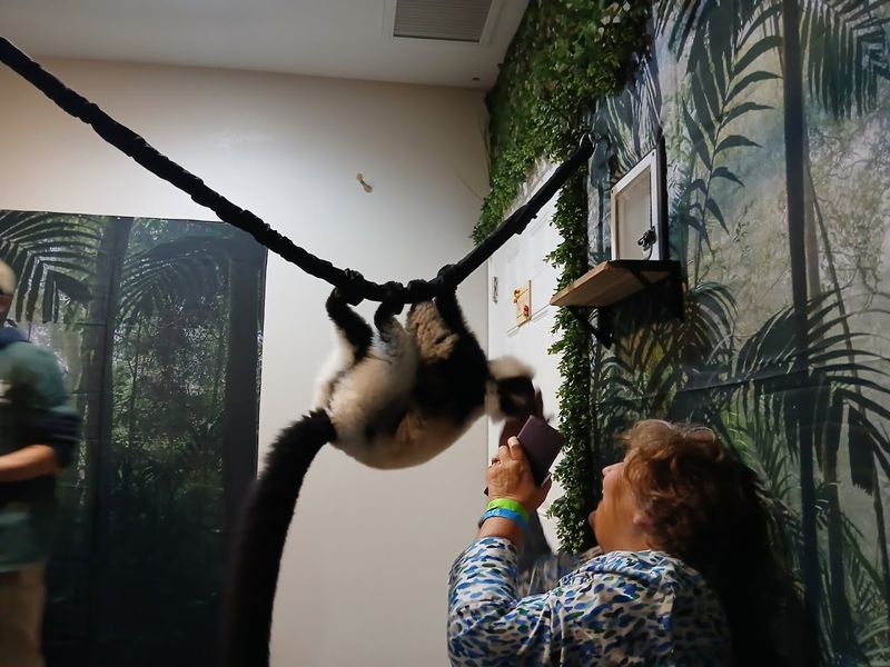 Lemurs, Otters, and a Whole Lot More Than You Expected