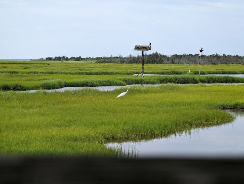 Birdwatching That Serious Birders Travel Far to Experience