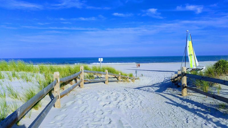 Surfing Culture at the Shore