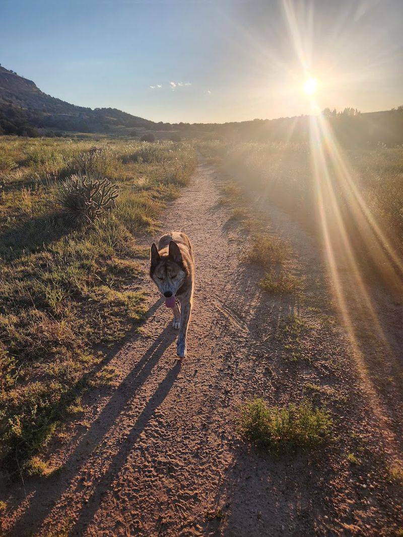 The Solitude Factor and Why It Matters