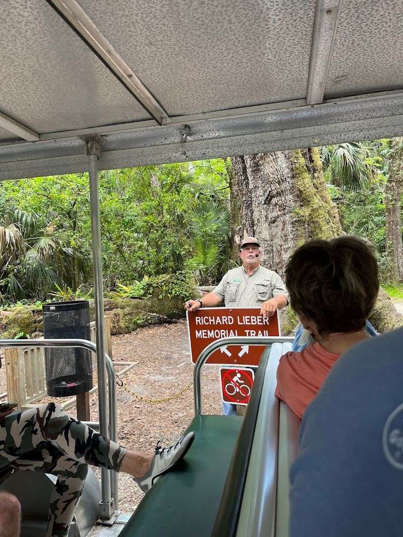 Tram Rides Through the Hammock