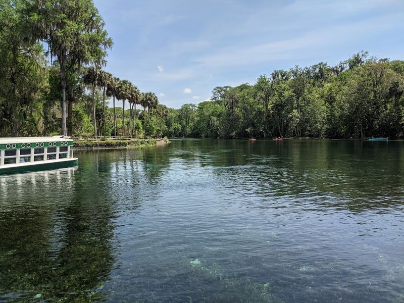 The History and Hollywood Connections