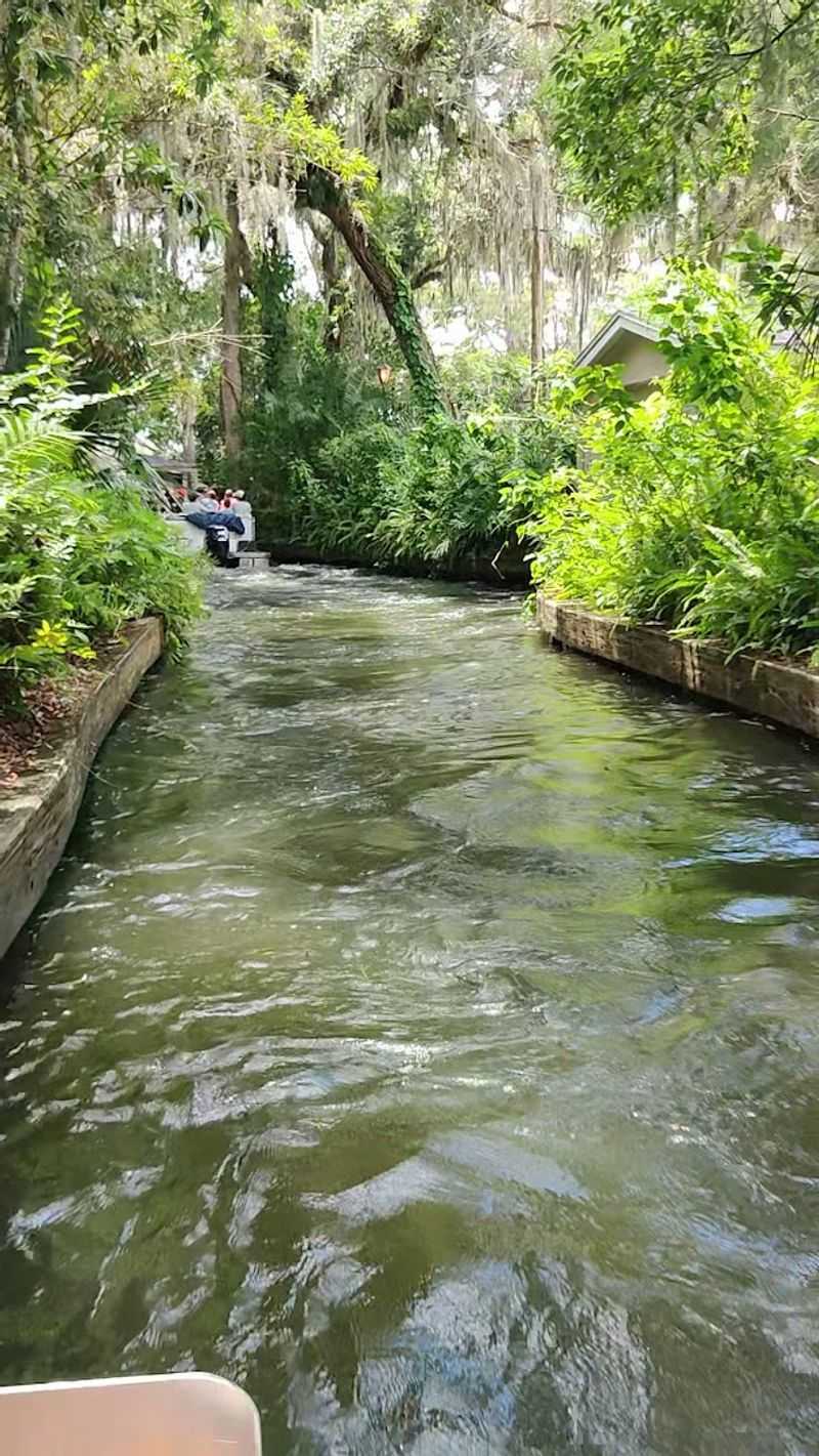 Wildlife You Can Expect to Spot Along the Way