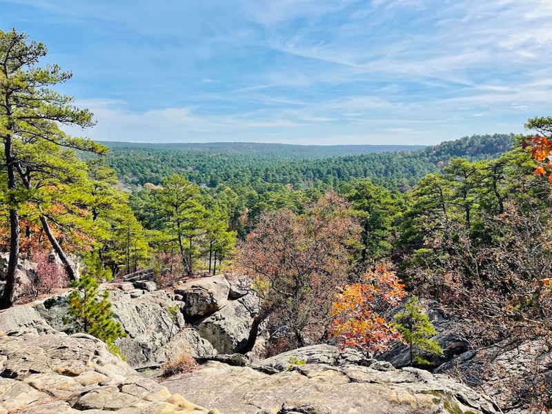 The Lookout Point View That Stops People Mid-Sentence