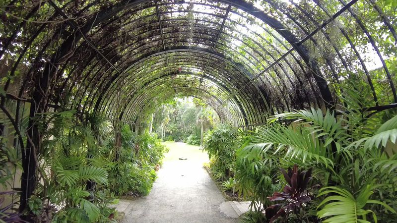 The Jungle Lights Holiday Event Worth Planning Around