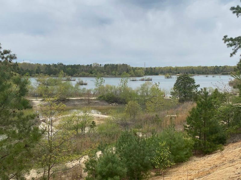 A Final Word on Why This Place Works