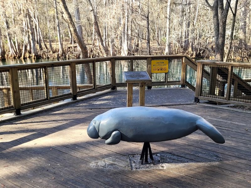 Best Time to Visit: Seasons, Manatees, and What to Expect