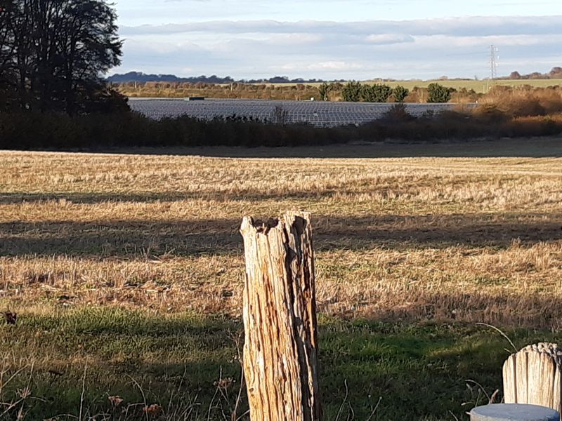 Escalation: From Taps to Terror