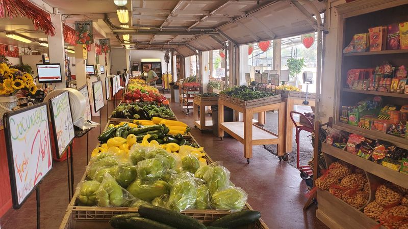 Tips for Making the Most of Your Visit