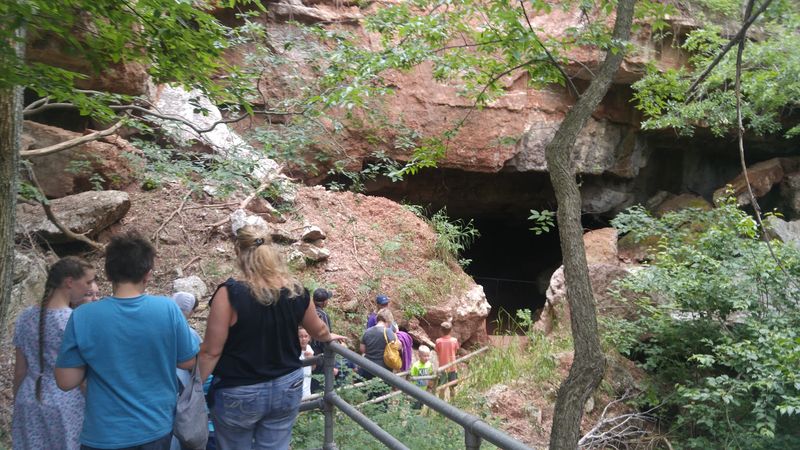 Guided Tours Every Hour