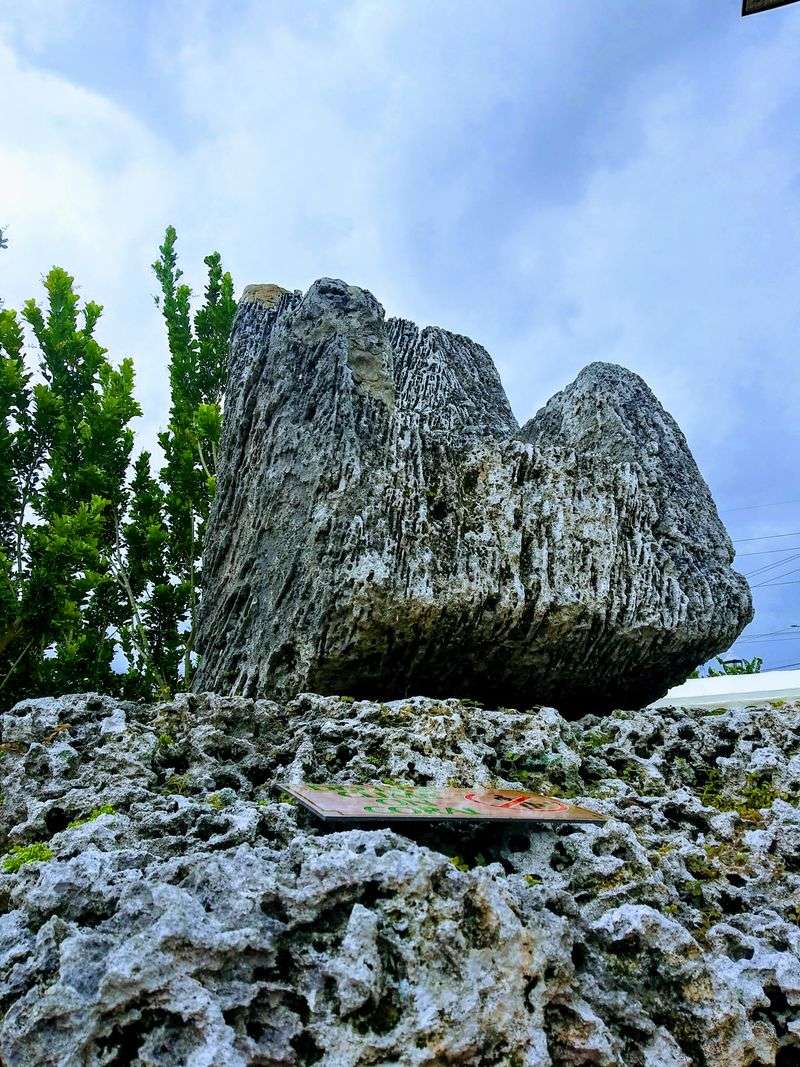 The Florida Map Stone