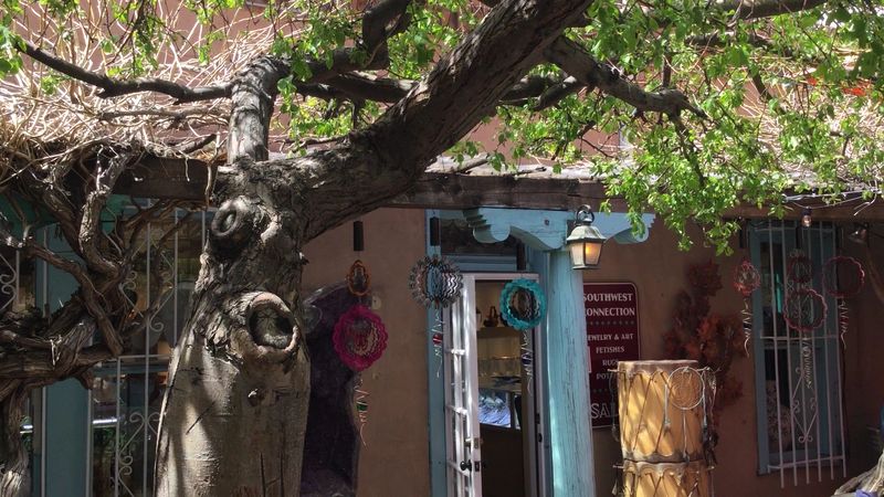 The Shed, Santa Fe, New Mexico