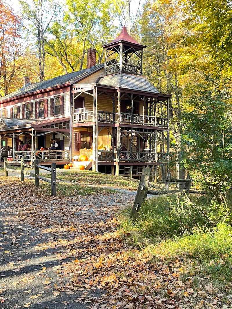 Best Times to Visit and What to Expect Seasonally