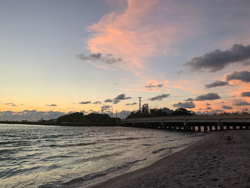 Fishing From the Bridge and the Shore