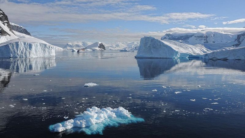 The Arctic (Sea Ice + Polar Regions)