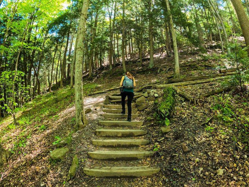 What to Bring for a Smooth Visit