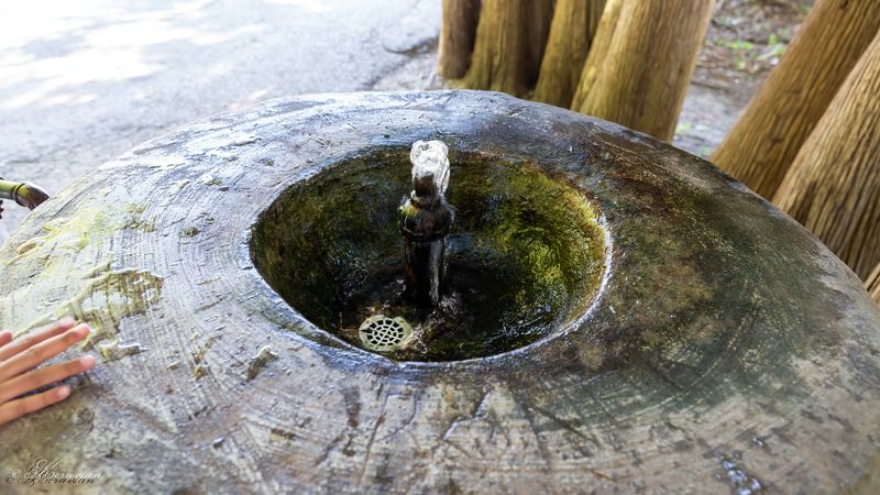 What to Bring When You Visit