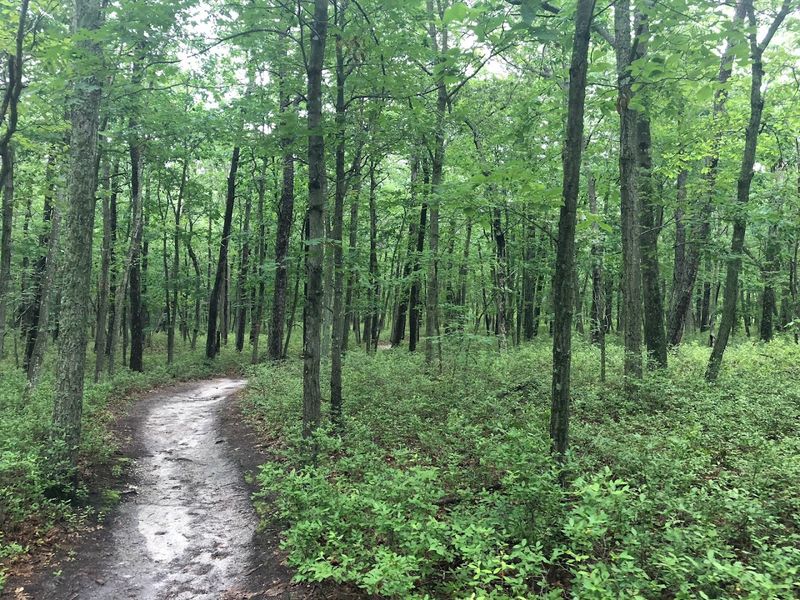 Accessibility and Who Can Visit Comfortably