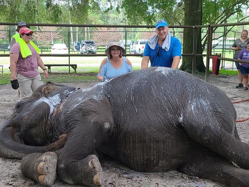 The Extreme Encounter Package