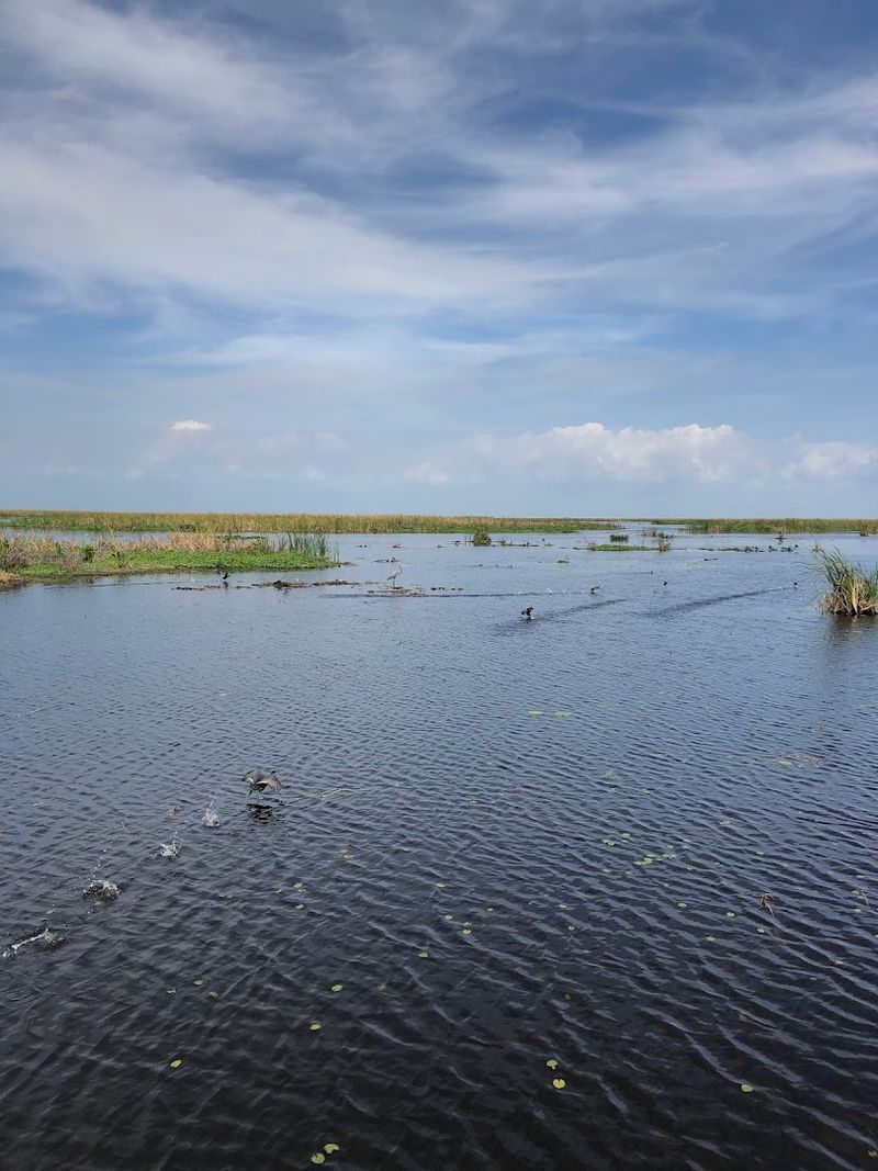 A Lake That Defines Florida's Heartland