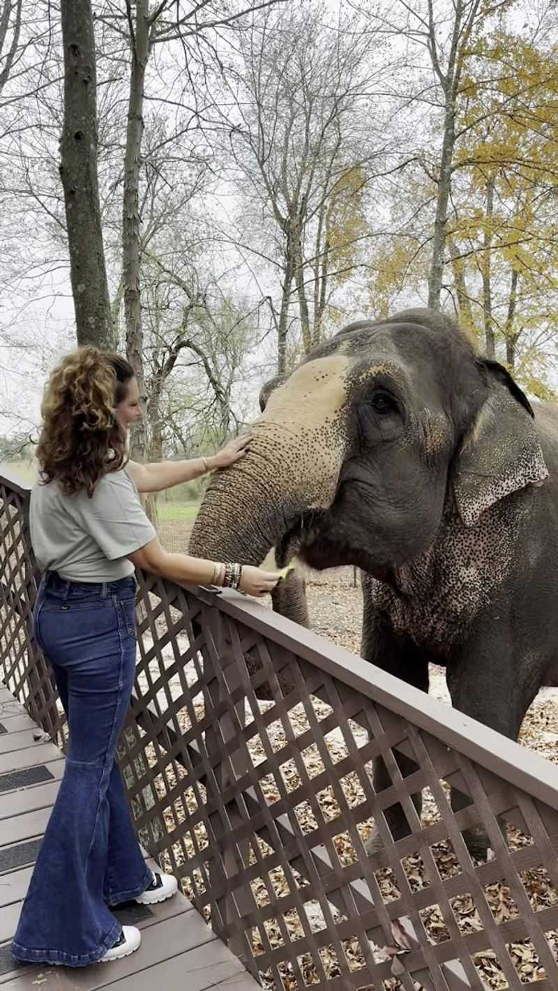 Del Rita: The Star of the Show