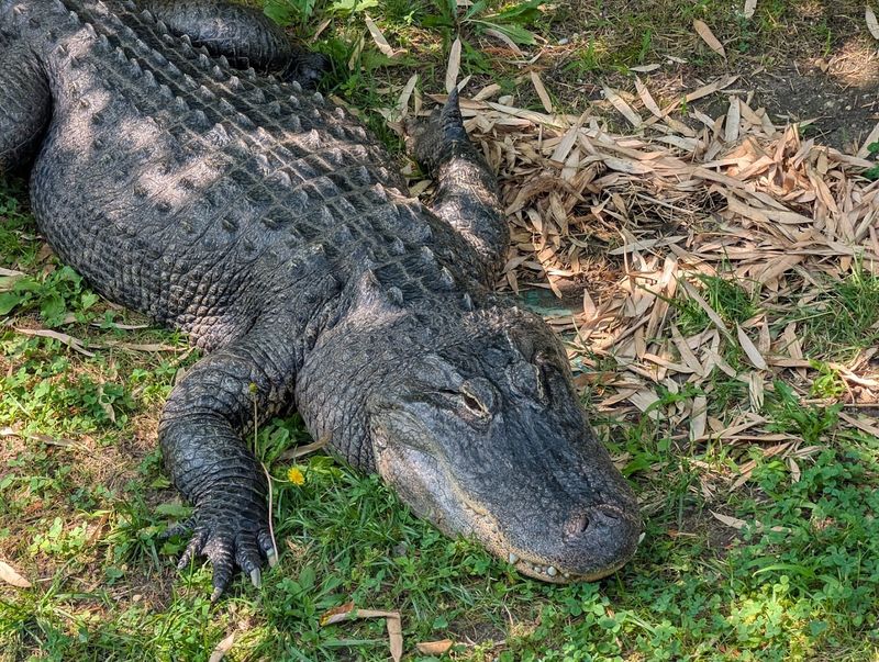 The Reptile House Is a Real Crowd-Pleaser