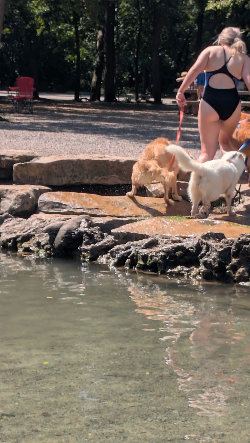 The Trash Situation That Broke My Heart