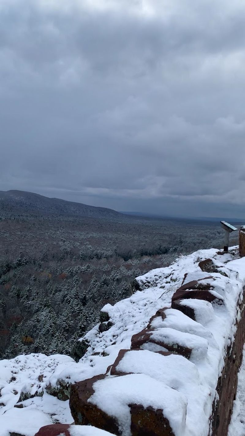 Winter Wildlife: What Roams the Park When the Snow Falls