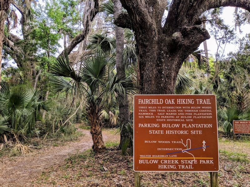 The Main Trail and What to Expect