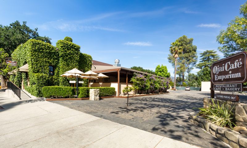 Farm-to-Table Dining Experiences