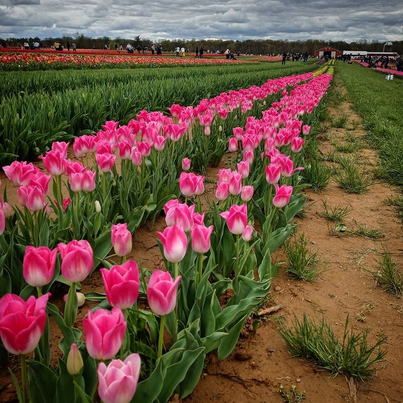 Planning Your Visit to Get the Most Out of the Trip