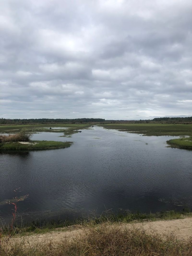 Why It Looks So Much Like the Everglades