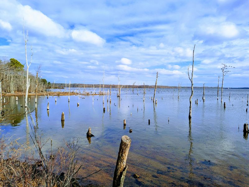 Water Views That Keep Changing